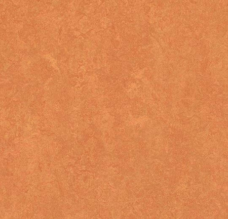 Натуральный линолеум 3825 African desert (Forbo Marmoleum Fresco)