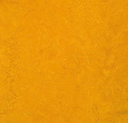 Натуральный линолеум 3125 golden sunset (Forbo Marmoleum Fresco)
