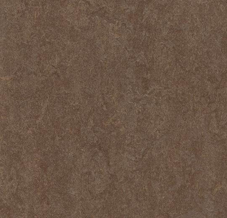 Натуральный линолеум 3874 walnut (Forbo Marmoleum Fresco)