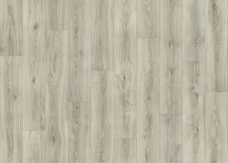 Линолеум IVC Neotex  Milton Oak 593