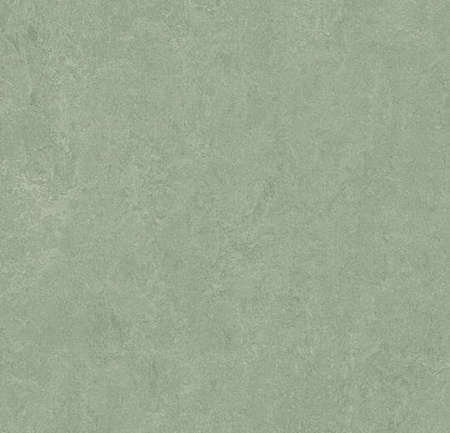 Натуральный линолеум 3891 sage (Forbo Marmoleum Fresco)
