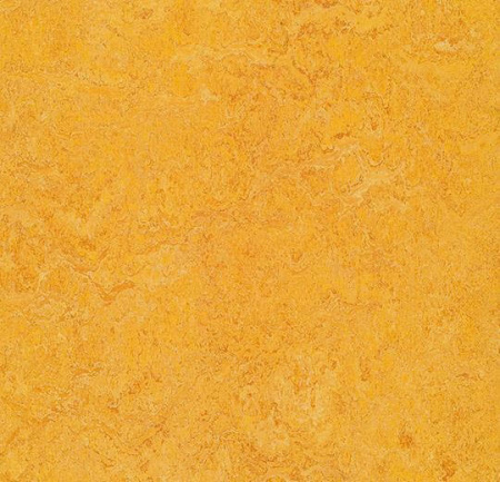 Натуральный линолеум 3225 dandelion (Forbo Marmoleum Real)