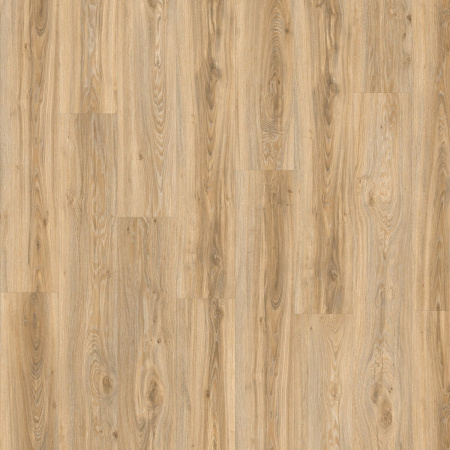 Кварц винил Moduleo Roots Blackjack Oak 22220