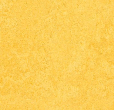 Натуральный линолеум 3251 lemon zest (Forbo Marmoleum Fresco)