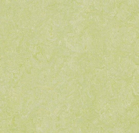 Натуральный линолеум 3881 green wellness (Forbo Marmoleum Real)