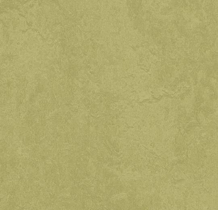 Натуральный линолеум 3265 avocado (Forbo Marmoleum Fresco)