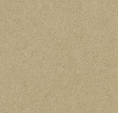 Натуральный линолеум 3890 oat (Forbo Marmoleum Fresco)
