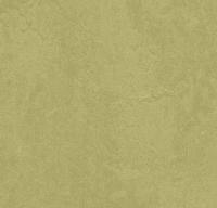Натуральный линолеум 3265 avocado (Forbo Marmoleum Fresco)