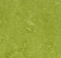 Натуральный линолеум 3247 green (Forbo Marmoleum Fresco)