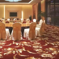 Ковровое рулонное покрытие Haima K09