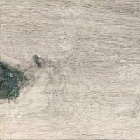 Напольное пробковое покрытие Ibercork Робле эладо GD HD