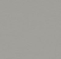 Натуральный линолеум 3371 cement (Forbo Marmoleum Walton) Натуральный линолеум 3371 cement (Forbo Marmoleum Walton)