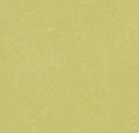 Натуральный линолеум 3885 spring buds (Forbo Marmoleum Fresco)