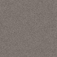 Линолеум Profi Premium As Nevada 2