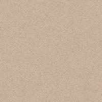 Линолеум Profi Strong Plus Granite 5