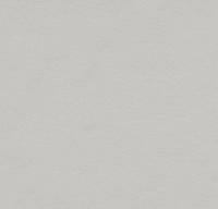 Натуральный линолеум 3369 titanium (Forbo Marmoleum Walton) Натуральный линолеум 3369 titanium (Forbo Marmoleum Walton)