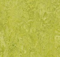 Натуральный линолеум 3224 chartreuse (Forbo Marmoleum Real)