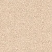 Линолеум Profi Premium Nevada 8