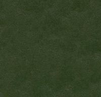 Натуральный линолеум 3359 bottle green (Forbo Marmoleum Walton) Натуральный линолеум 3359 bottle green (Forbo Marmoleum Walton)