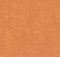Натуральный линолеум 3825 African desert (Forbo Marmoleum Fresco)