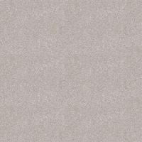 Линолеум Profi Master Proxi 2