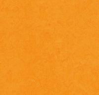 Натуральный линолеум 3262 marigold (Forbo Marmoleum Fresco)