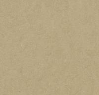 Натуральный линолеум 3890 oat (Forbo Marmoleum Fresco)
