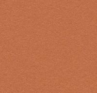Натуральный линолеум Bulletin board 2207 cinnamon bark Натуральный линолеум Bulletin board 2207 cinnamon bark