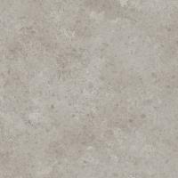 Линолеум Profi Vector Petra 1