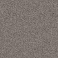 Линолеум Profi Premium Nevada 2