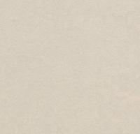 Натуральный линолеум 3257 edelweiss (Forbo Marmoleum Fresco)