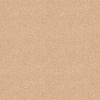 Линолеум Profi Master Proxi 1