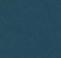 Натуральный линолеум 3358 petrol (Forbo Marmoleum Walton) Натуральный линолеум 3358 petrol (Forbo Marmoleum Walton)