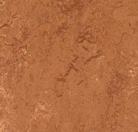 Натуральный линолеум 2767 rust (Forbo Marmoleum Real) Натуральный линолеум 2767 rust (Forbo Marmoleum Real)