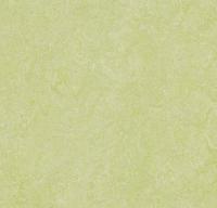 Натуральный линолеум 3881 green wellness (Forbo Marmoleum Real)