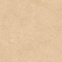 Линолеум Profi Vector Petra 2