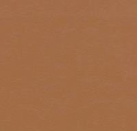 Натуральный линолеум 3370 terracotta (Forbo Marmoleum Walton) Натуральный линолеум 3370 terracotta (Forbo Marmoleum Walton)
