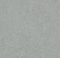 Натуральный линолеум 3889 cinder (Forbo Marmoleum Fresco)