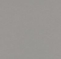 Натуральный линолеум 3367 alloy (Forbo Marmoleum Walton) Натуральный линолеум 3367 alloy (Forbo Marmoleum Walton)