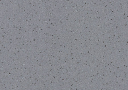 Коммерческий линолеум LG Durable