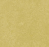 Натуральный линолеум 3259 mustard (Forbo Marmoleum Fresco)
