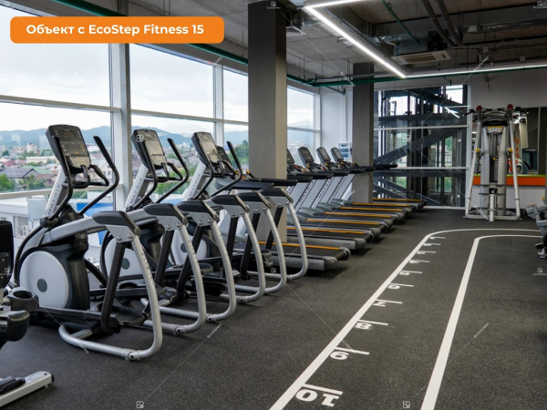 EcoStep Fitness 15