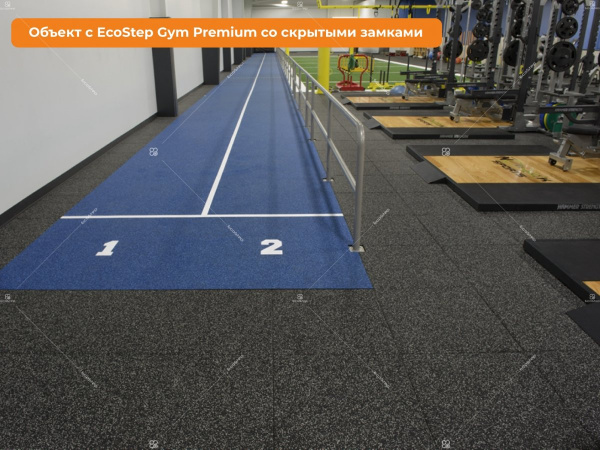 EcoStep Gym Premium со скрытыми замками