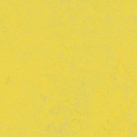Натуральный линолеум Marmoleum Concrete 3741  yellow glow