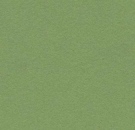 Натуральный линолеум Bulletin board 2213 baby lettuce