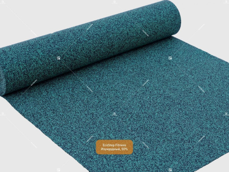 EcoStep Fitness 50-100