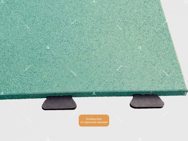 EcoStep Gym со скрытыми замками