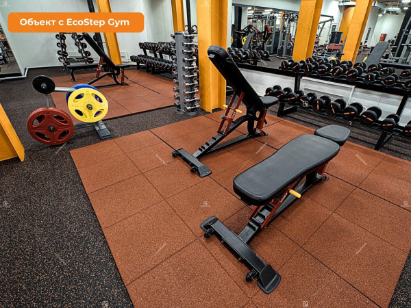 EcoStep Gym