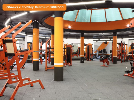 EcoStep Premium 500x500