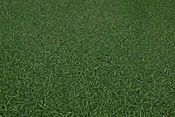 Линолеум IVC NEO  Grass  25